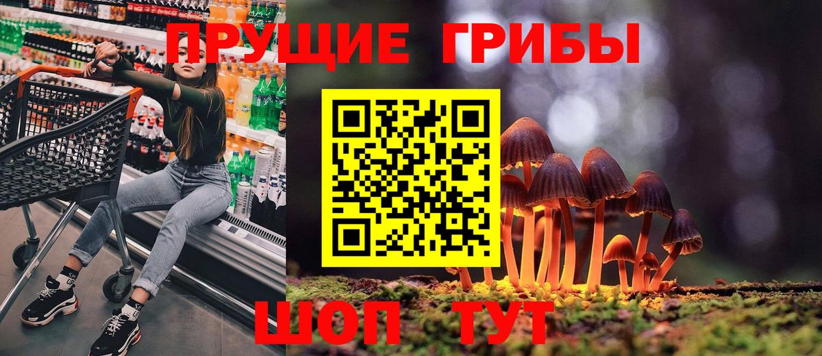 Усть-Джегута  Псилоцибиновые грибы GOLDEN TEACHER  Вход с VPN  Галлюциногенные грибы ЛСД 