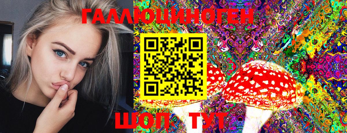 Псилоцибиновые грибы GOLDEN TEACHER Усть-Джегута